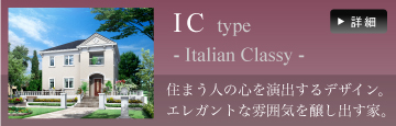 IC type