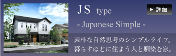 JS type