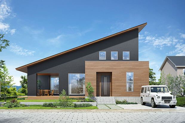 Natural modern
